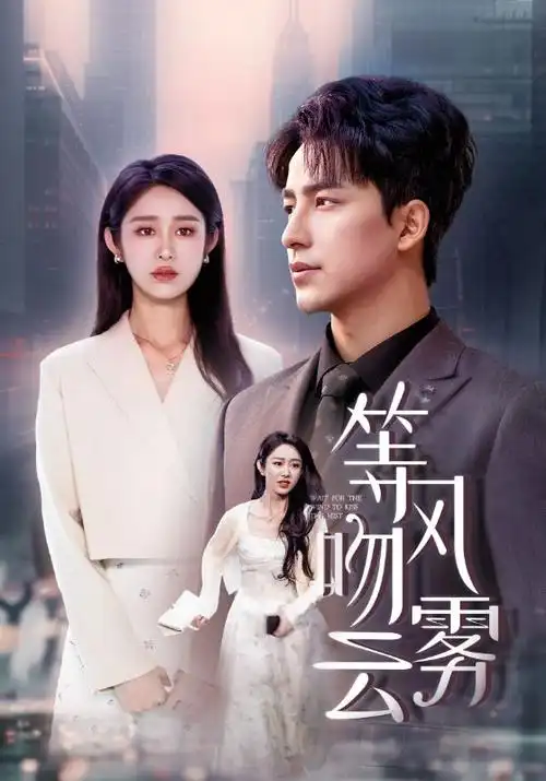 热播电视剧长夜回声全集高清在线观看